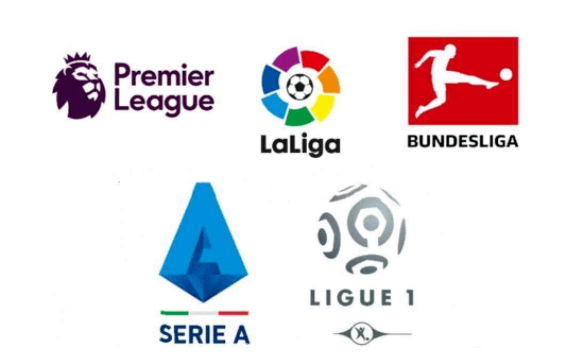 步观察及展 步观察及展